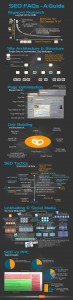 SEO Infographic