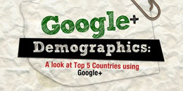 google-demographics