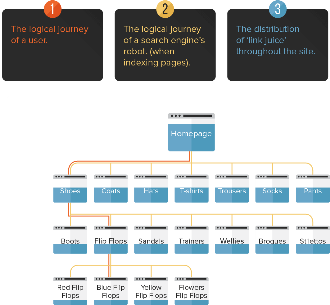 site structire image