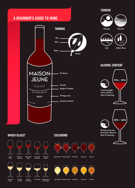 beginners guide wine