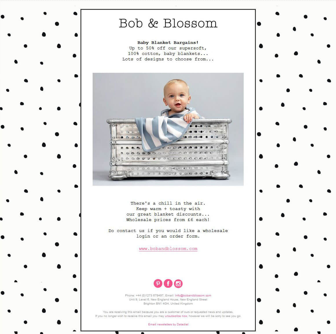 email-bob