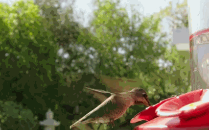 , Google&#8217;s Biggest Update in Years has Already Happened: Hummingbird