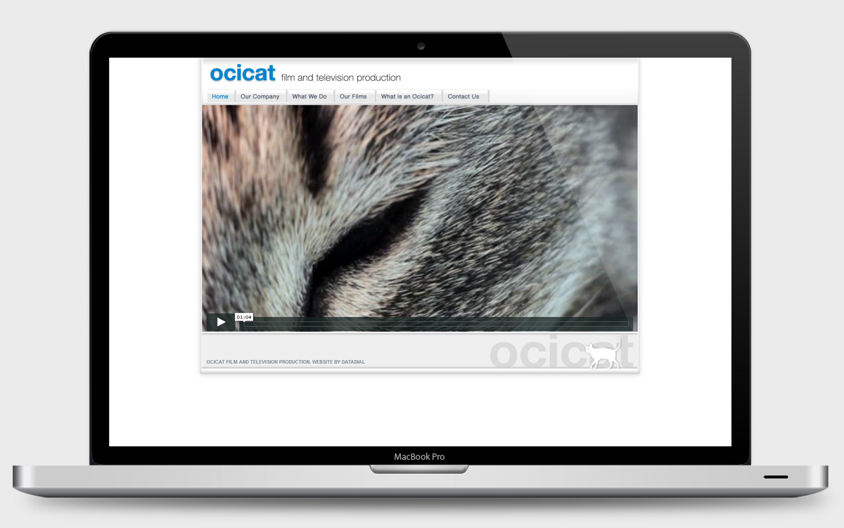 laptop-ocicat