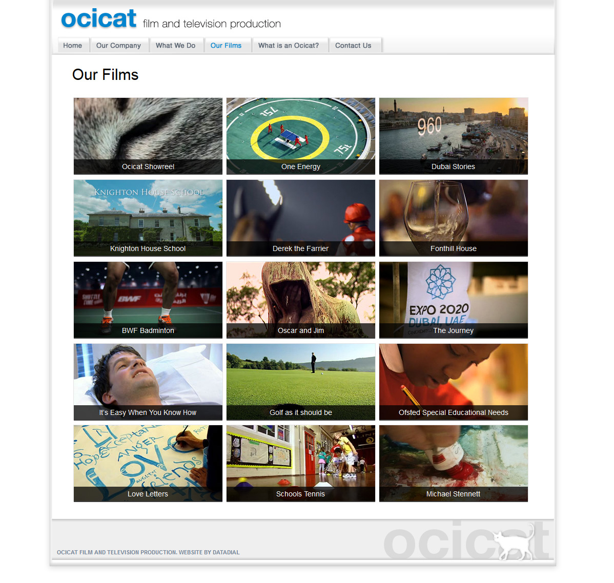 ocicat_01